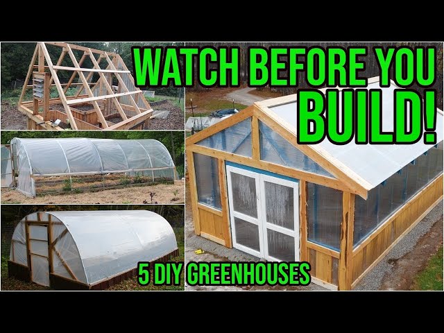 Building a DIY Greenhouse: A Budget-Friendly Solution for Plant Lovers