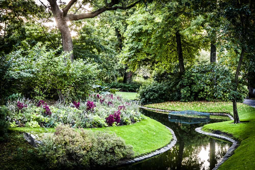 The Incredible Benefits of Exploring Botanical Gardens: A Natural Pathway to Wellness and Connection
