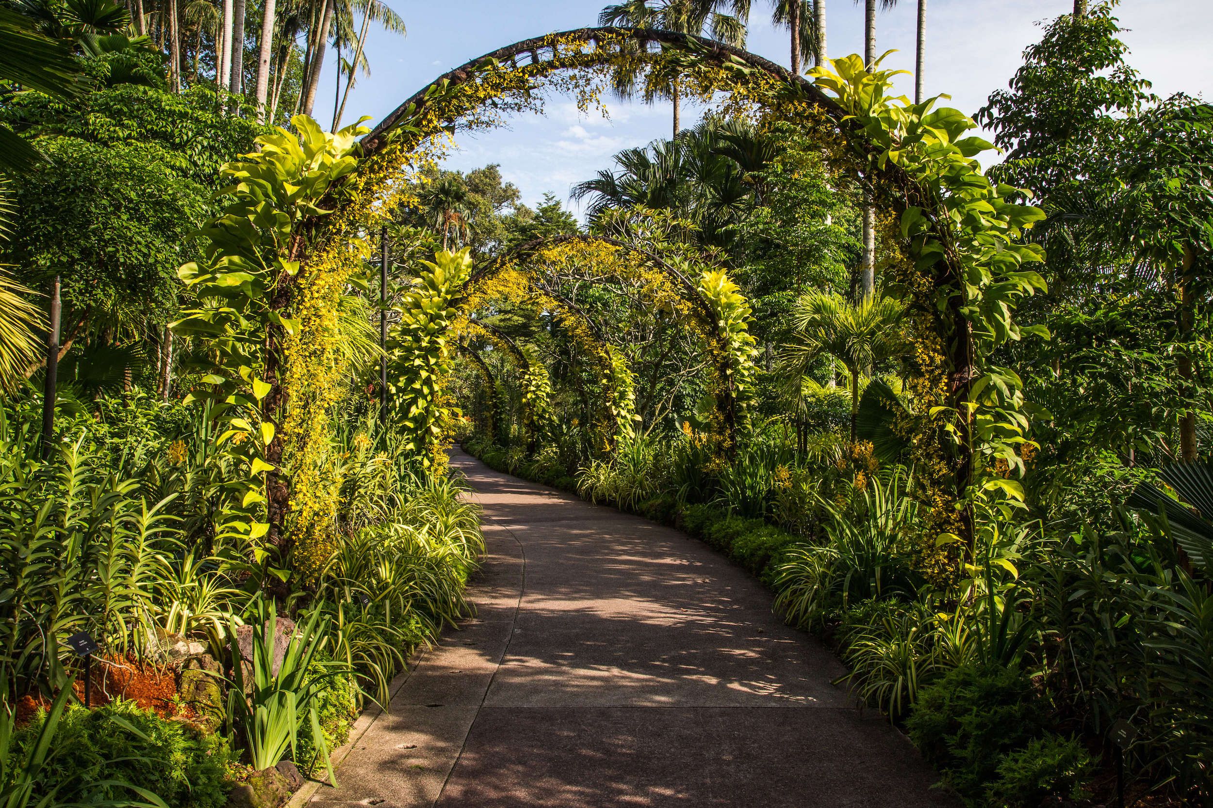 A Tranquil Oasis: Exploring the Wonders of the Enchanting Nature Garden