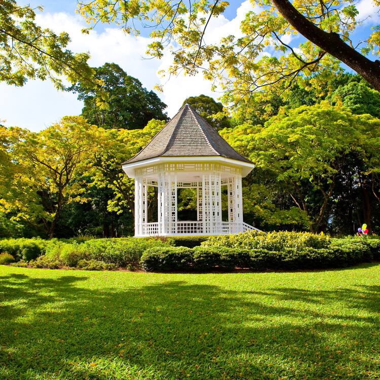 Why Singapore's Botanic Gardens are Vital for the City's Biodiversity and Well-being