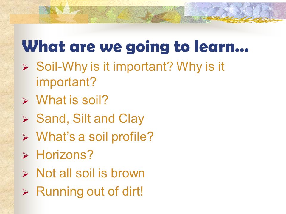 Why Understanding Soil is Crucial for Sustainable Agriculture