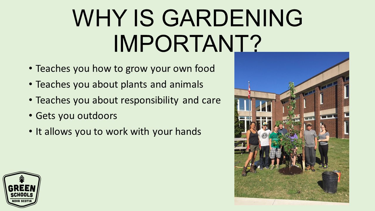 Why Gardens Are Vital for Our Well-being
