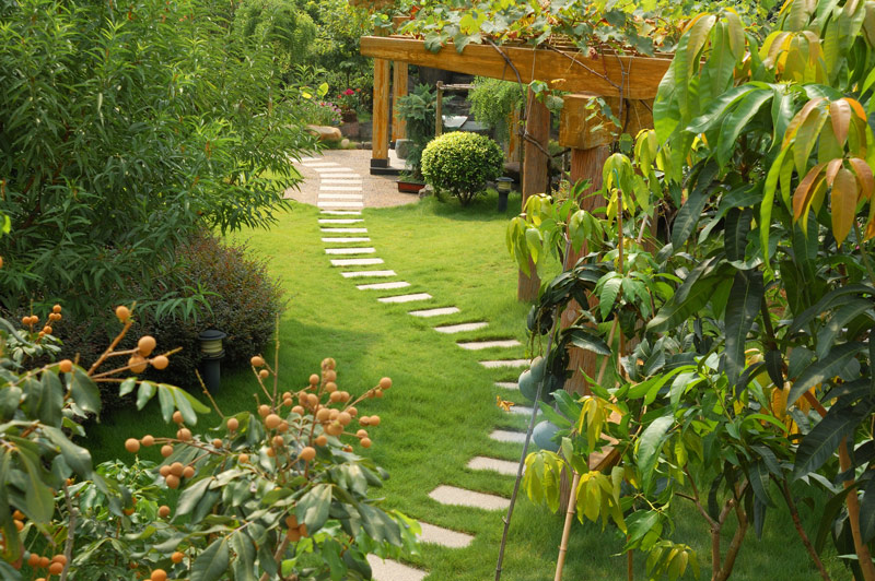 The Tranquil Haven: Understanding the Essence of a Green Oasis