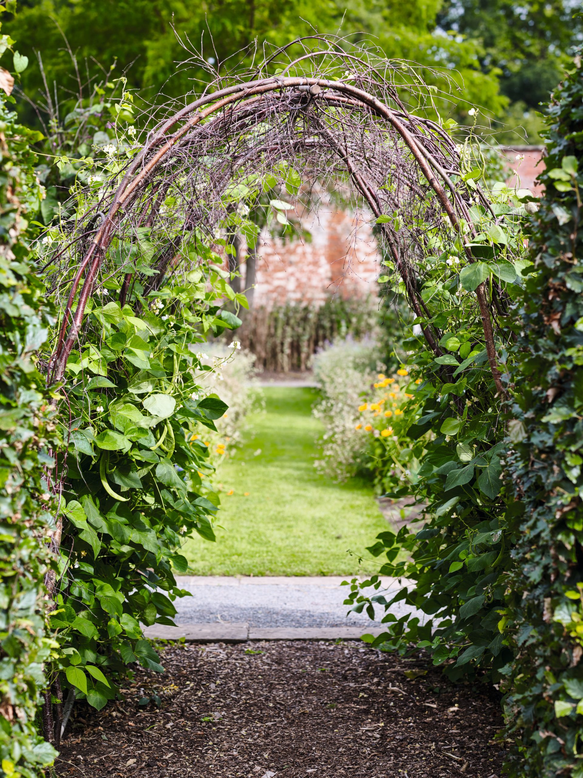 Create a Stunning and Natural Garden Arch in Simple Steps