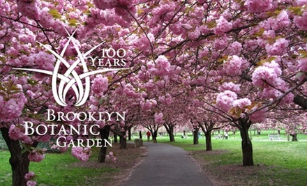 Exploring the Incredible Membership Benefits at Brooklyn Botanic Garden - A Natural Gateway to Nature's Beauty