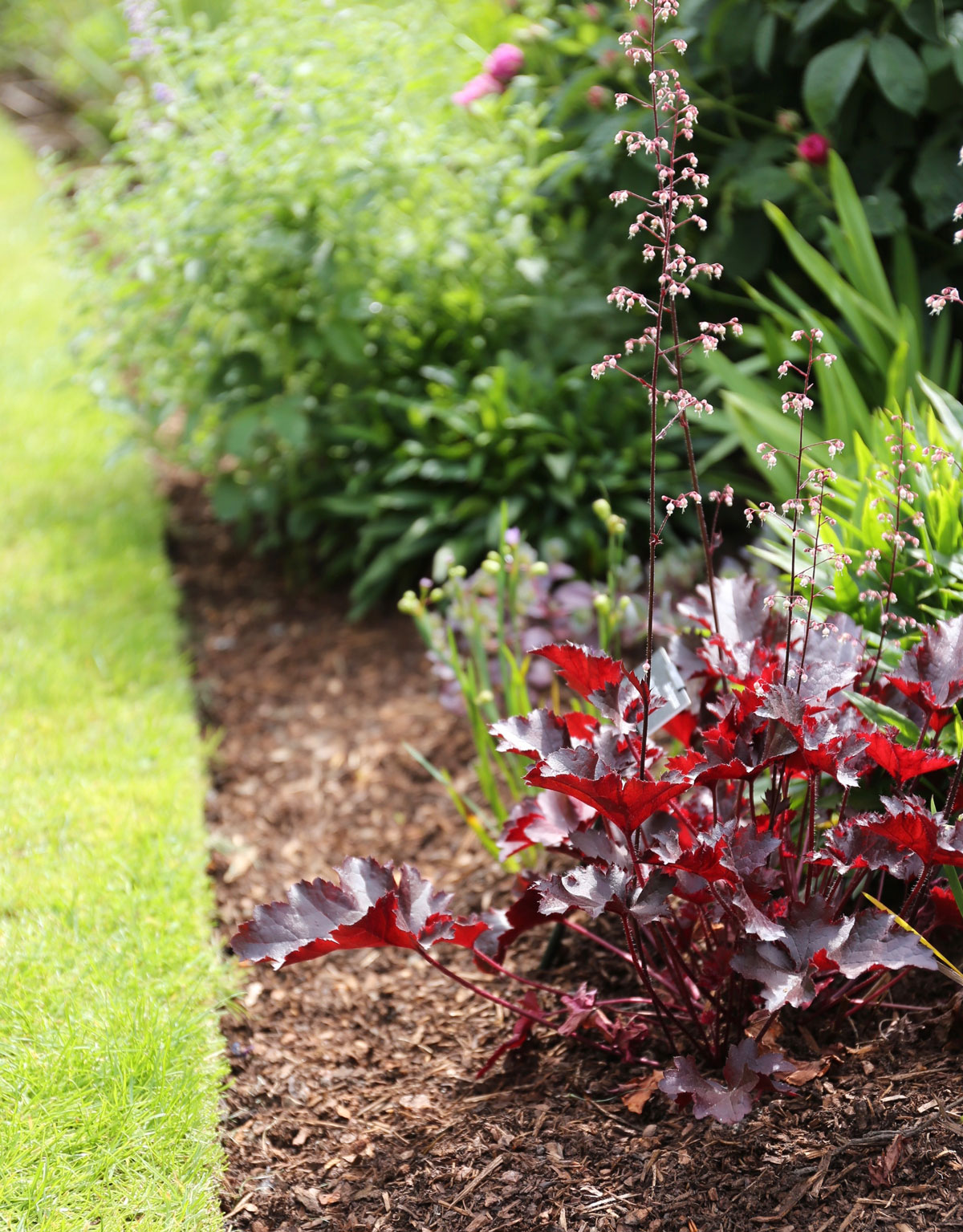 The Benefits and Beauty of Using Organic Mulch in Your Flower Garden