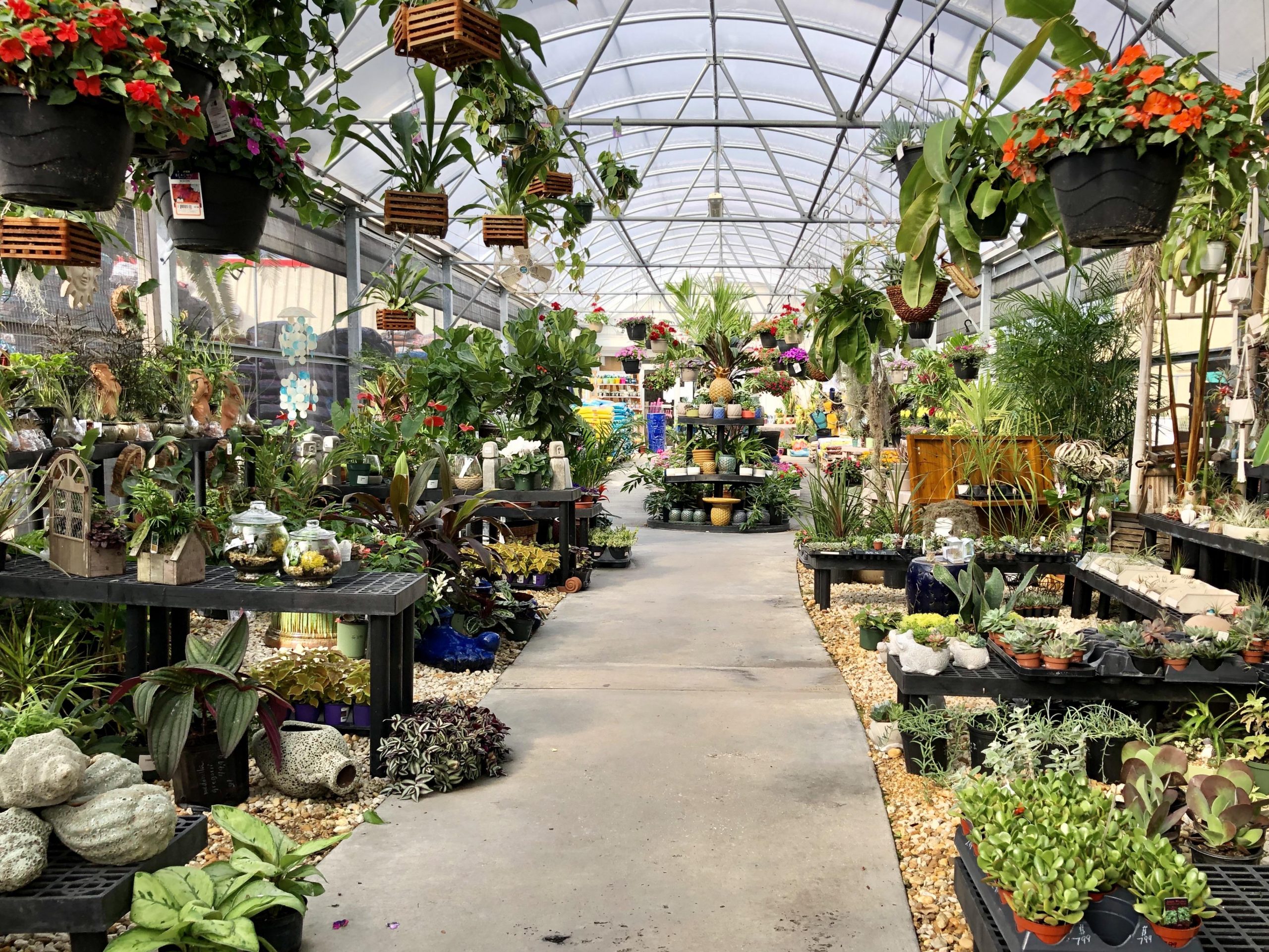 Green Thumb: Exploring the Benefits of the Ace Hardware Greenhouse for Gardening Enthusiasts