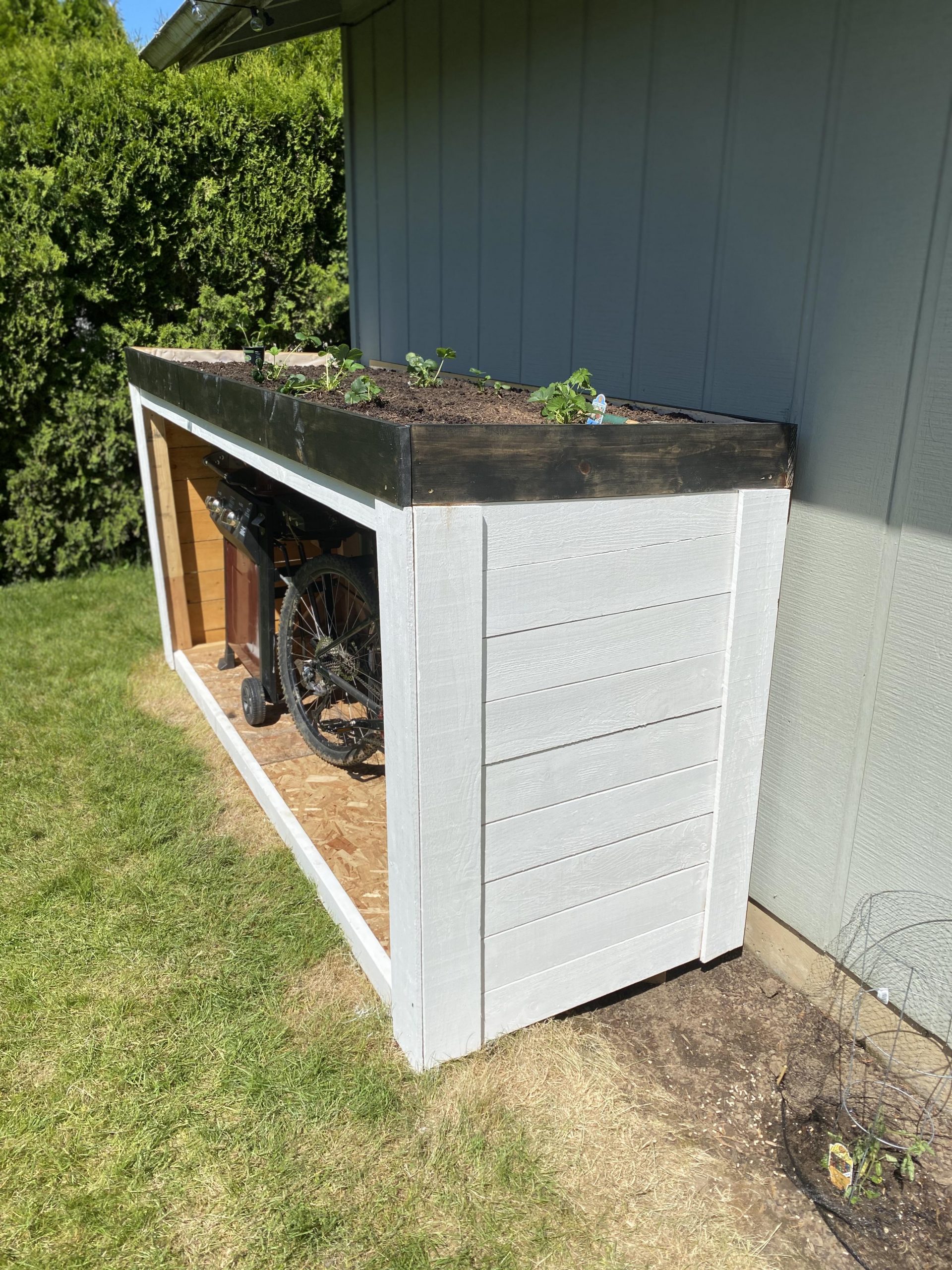 Creating an Eco-Friendly Oasis: The Benefits and Beauty of a Green Roof Shed
