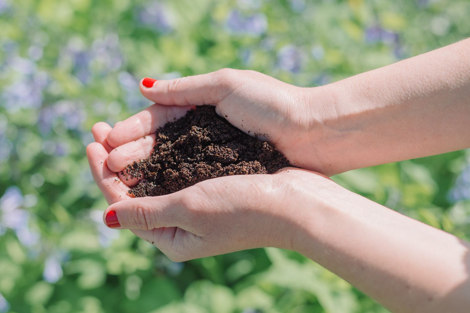 The Benefits of Using Ground Fertilizer for Healthier and Greener Gardens