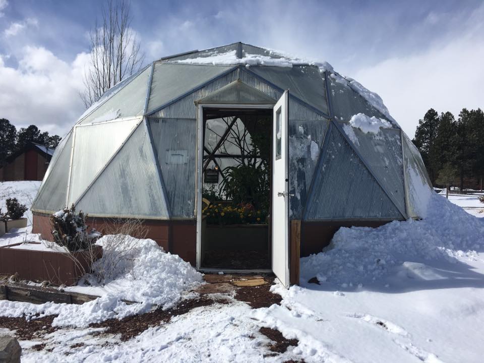 How to Keep Your Greenhouse Flourishing During the Winter Season